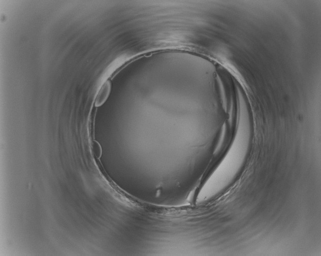 X0000068841291200605051252