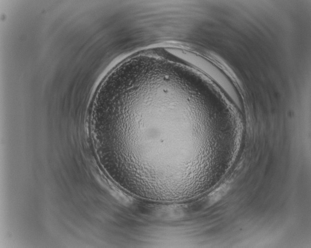 X0000068841292200605051252