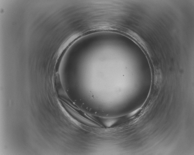 X0000068841293200605051252