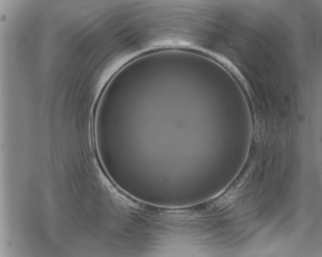 X0000068841295200605051252