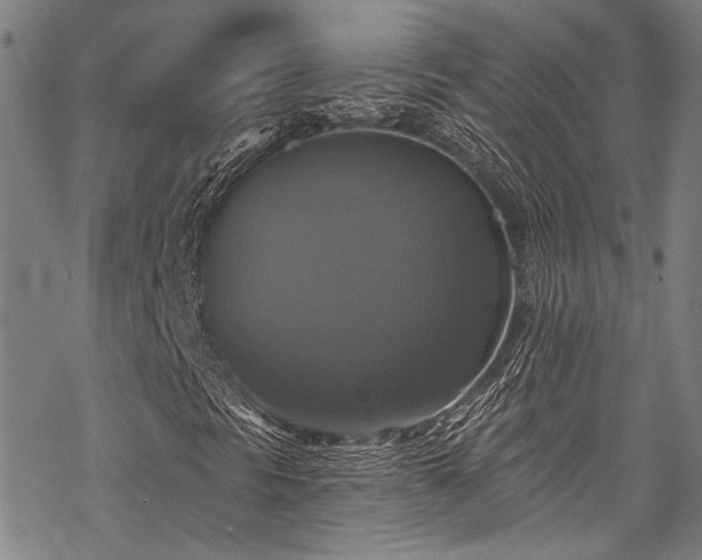 X0000068841297200605051251