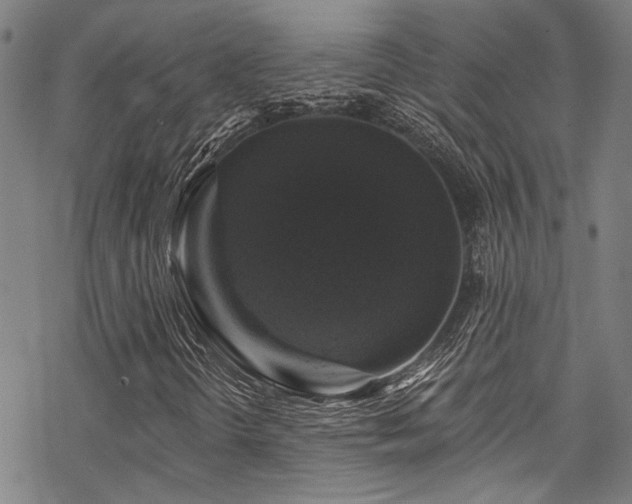 X0000068841298200605051251