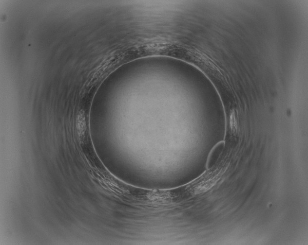 X0000068841299200605051251