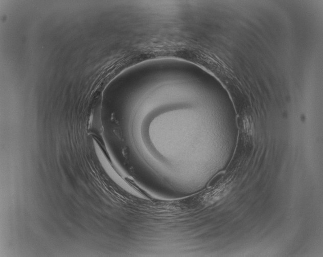 X0000068841300200605051251