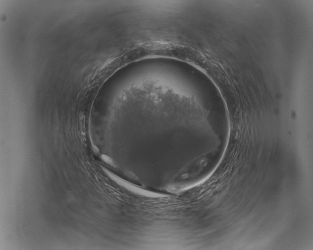 X0000068841301200605051251