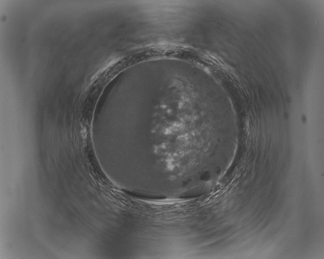 X0000068841302200605051251