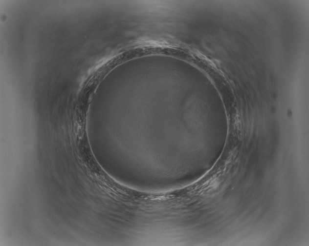 X0000068841303200605051251