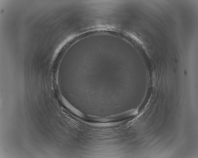 X0000068841310200605051251