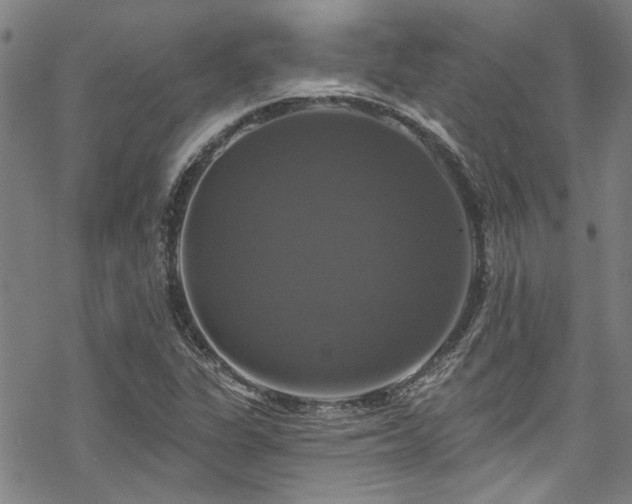 X0000068841311200605051251