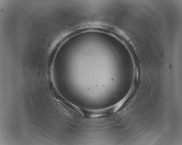 X0000068841312200605051252