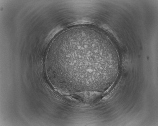 X0000068841313200605051252