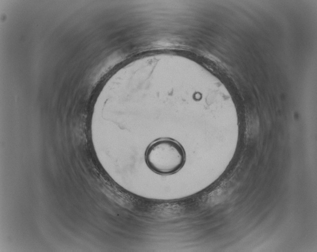 X0000068841314200605051252