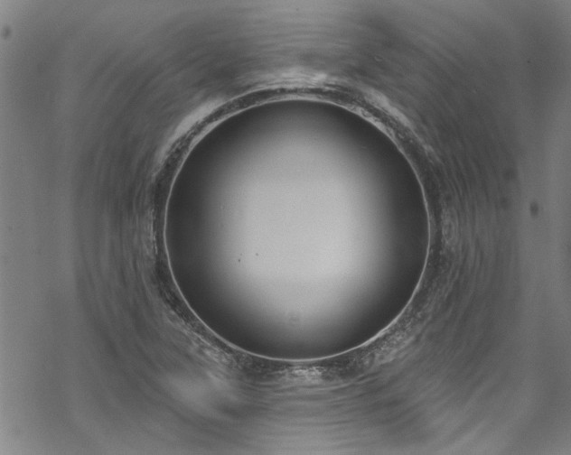 X0000068841315200605051252