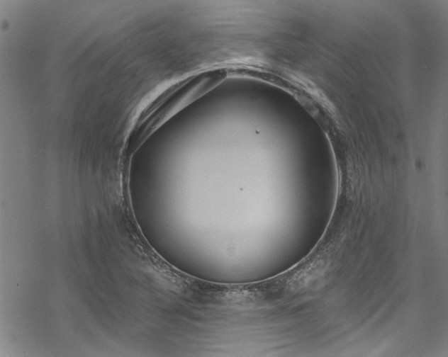 X0000068841316200605051252