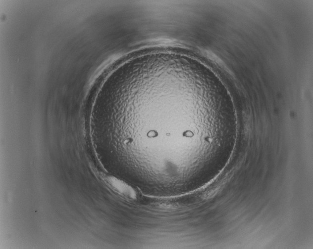 X0000068841318200605051252