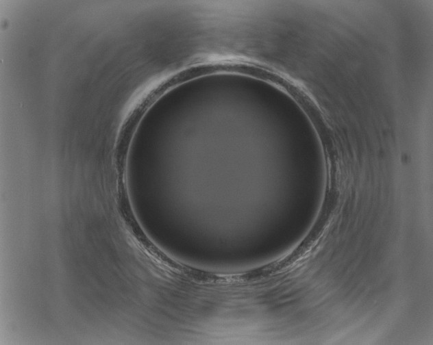 X0000068841319200605051252