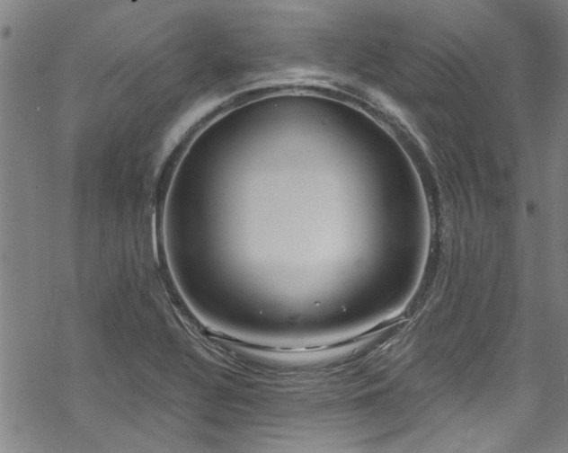 X0000068841320200605051252