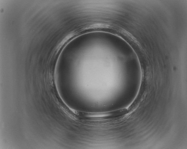 X0000068841321200605051252