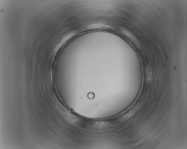 X0000068841322200605051252