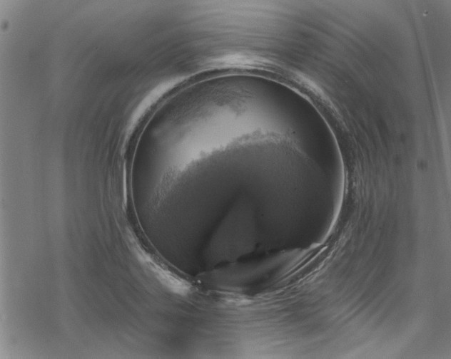 X0000068841323200605051252