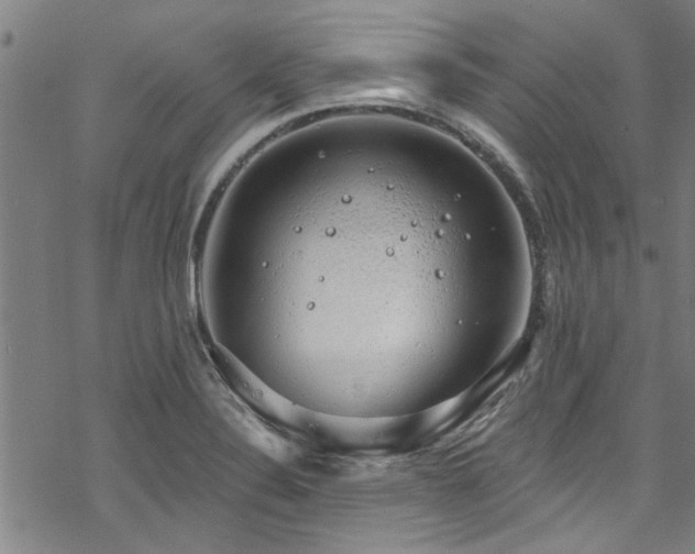 X0000068841324200605051252