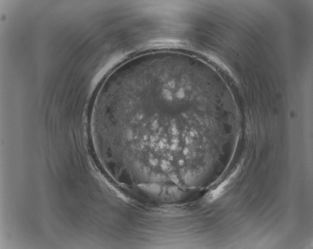 X0000068841325200605051252