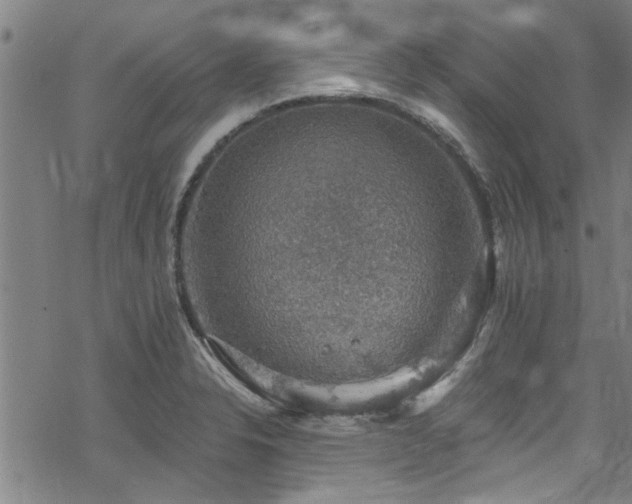 X0000068841326200605051252