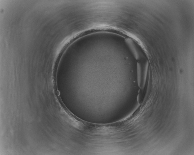 X0000068841327200605051252