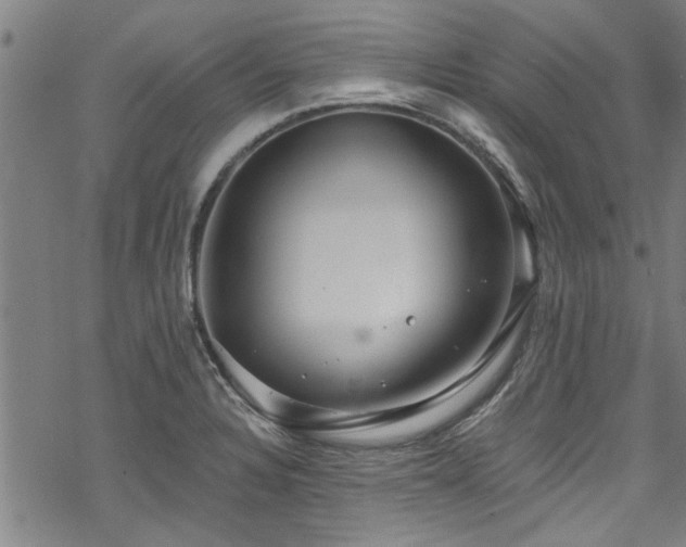 X0000068841328200605051252