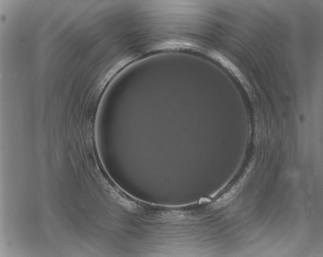 X0000068841329200605051252