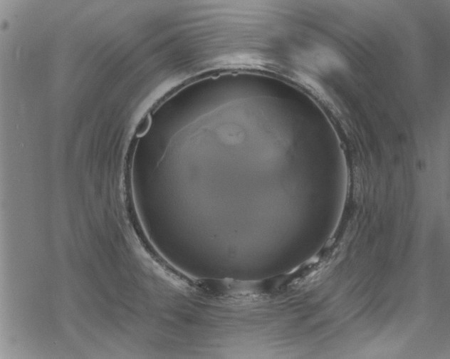 X0000068841331200605051252