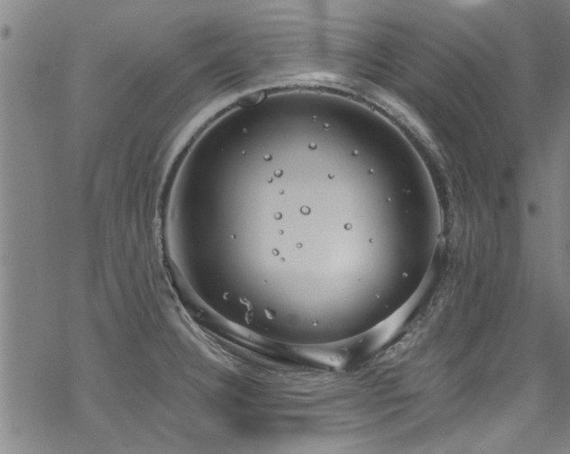 X0000068841332200605051252