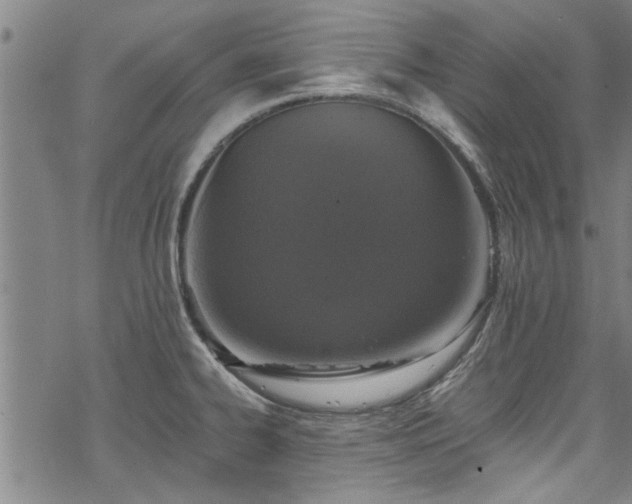 X0000068841334200605051252