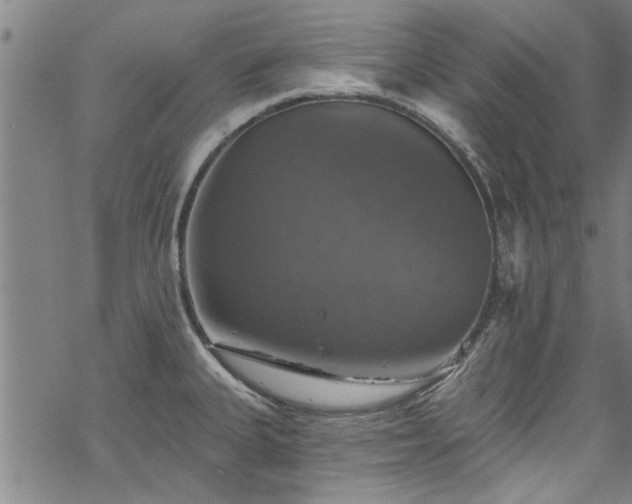 X0000068841335200605051252