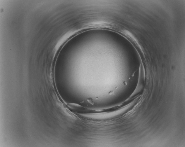 X0000068841336200605051252