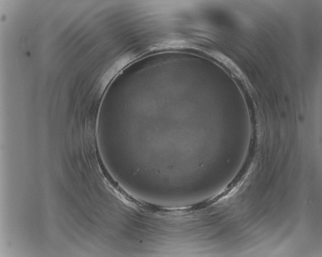 X0000068841337200605051252