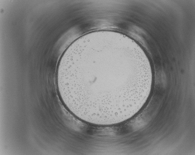 X0000068841338200605051252