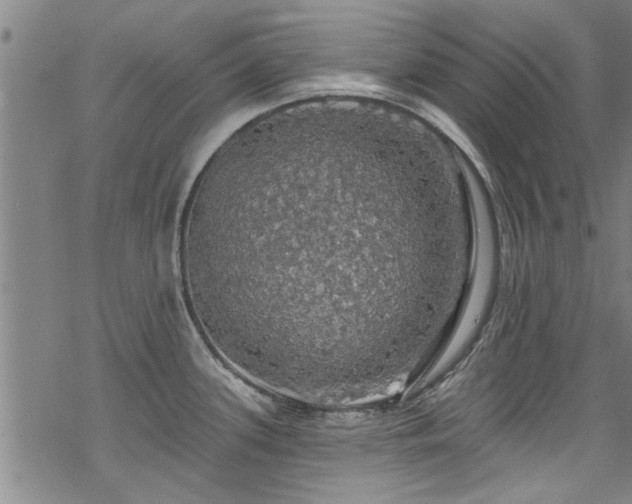 X0000068841339200605051252