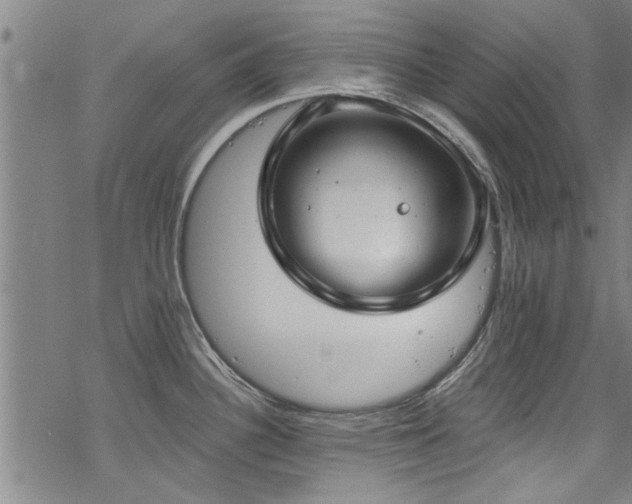 X0000068841340200605051252