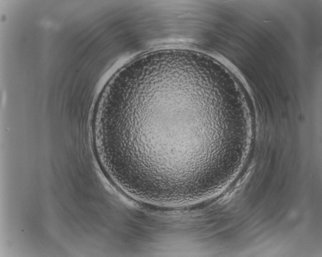 X0000068841341200605051252