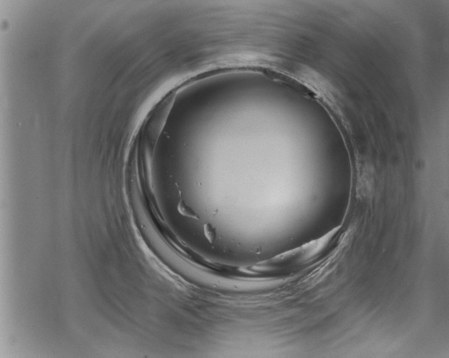 X0000068841342200605051252