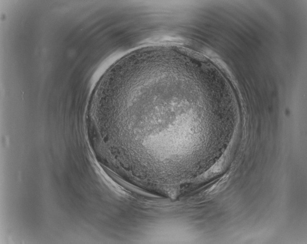 X0000068841344200605051252