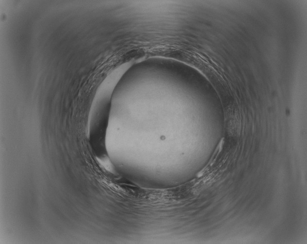 X0000068841345200605051251