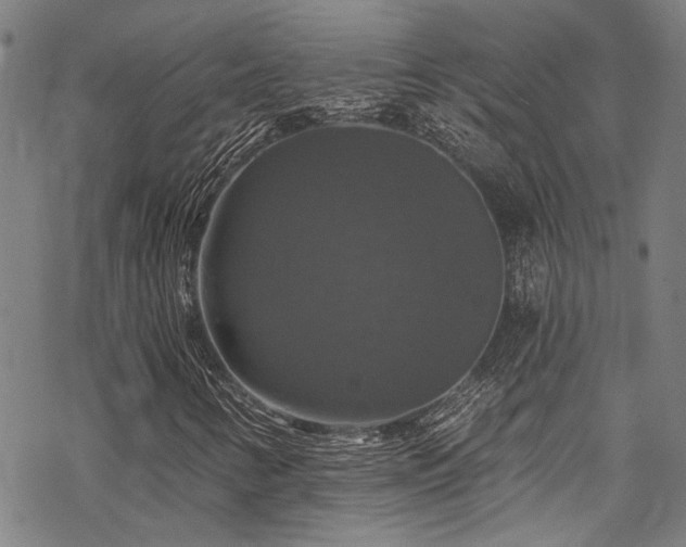 X0000068841346200605051251