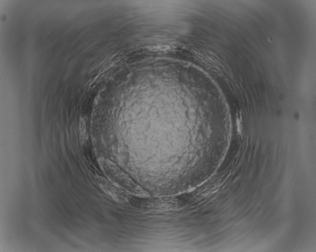 X0000068841347200605051251