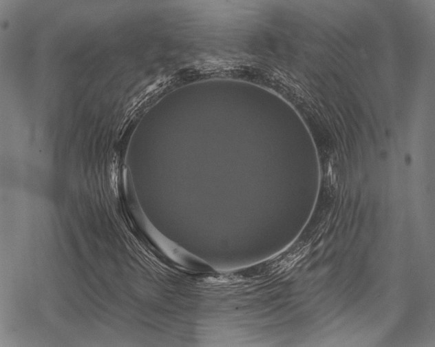 X0000068841348200605051251