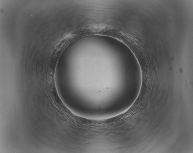 X0000068841349200605051251