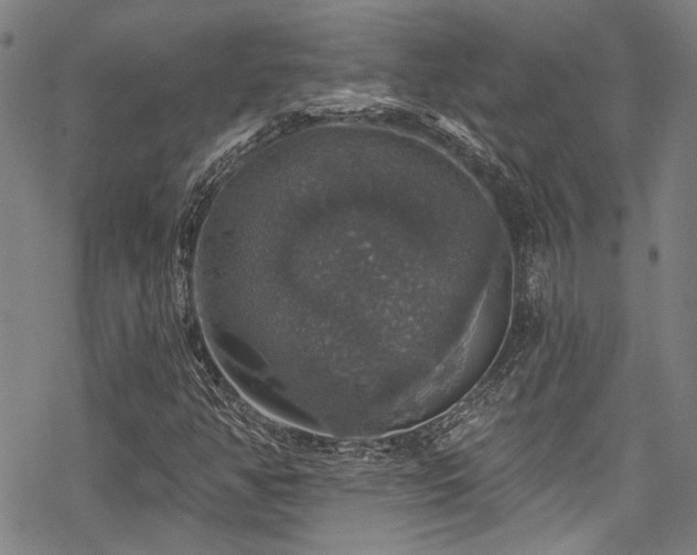 X0000068841350200605051251