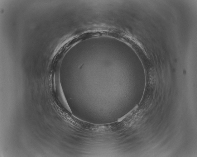 X0000068841352200605051251