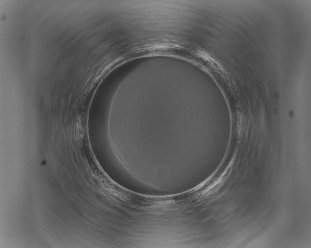 X0000068841353200605051251